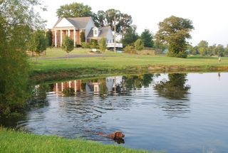 CCK_afternoonpondswim_sep2011