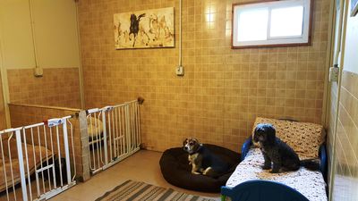 Communal Suite Communal Suite