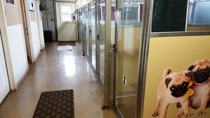 Kennel 1 aisle Kennel 1 aisle