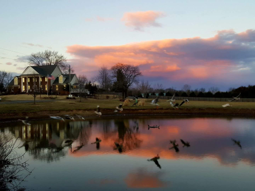 FB_IMG_1483322201325 FB_IMG_1483322201325